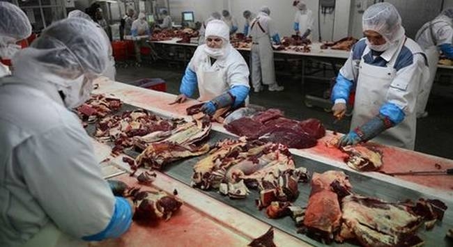 Ήξεραν ότι χρησιμοποιούσαν κρέας αλόγου