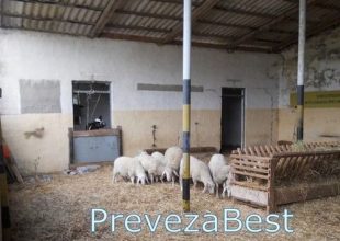 Το στρατόπεδο που έγινε…στάνη