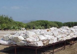 Βρέθηκαν 480 κιλά κοκαΐνης μέσα σε μπανάνες από την Κολομβία
