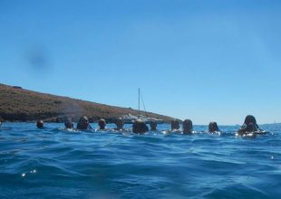 Θάλασσα και επιστροφή (pics)