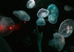 Δημιουργήθηκε το πρώτο υποθαλάσσιο ρομπότ