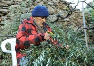 Γερνάει ο πληθυσμός της Ελλάδας