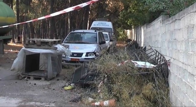 Το άλσος της Νέας Φιλαδέλφειας εκπέμπει «SOS» (vid)