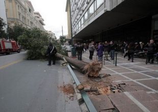 Κόπηκε στα δύο η Σταδίου από πτώση γιγαντιαίου δέντρου