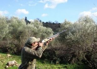 Απαγόρευση του κυνηγιού σε όλη τη χώρα με απόφαση του ΣτΕ