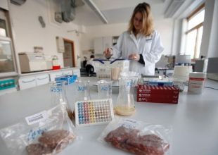 DNA αλόγου σε τρόφιμα
