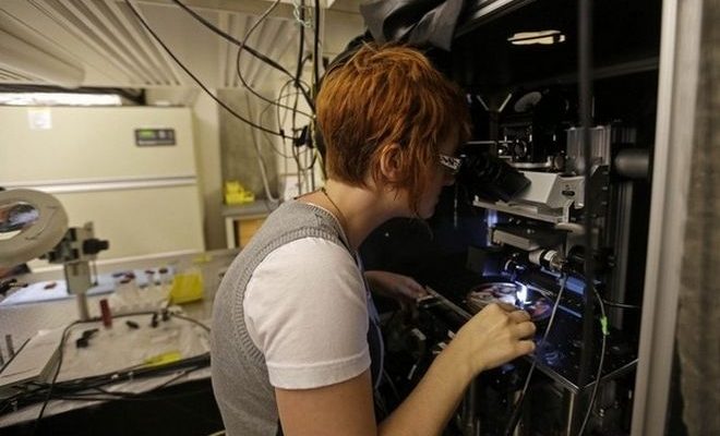 Αρχαίος γιγάντιος ιός “αναστήθηκε” Αρχαίος γιγάντιος ιός “αναστήθηκε”