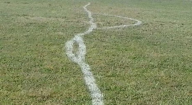 Τα “έτσουξε” ο συντηρητής γηπέδου