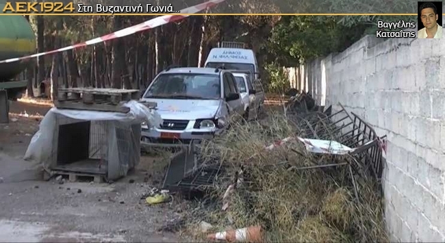 Χάρισμα σας αυτό το… Άλσος
