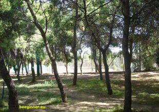 «Γεννά ερωτηματικά η στάση του ΣΥΡΙΖΑ»