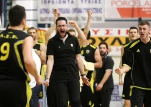 Αποχώρηση Χήνα από τη Βασίλισσα