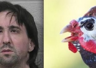 Συνελήφθη γιατί έκανε σεξ με μία φραγκόκοτα