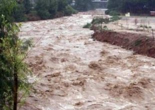 Τέλος καλό, όλα καλά με τους 30 παράτυπους μετανάστες στον Έβρο