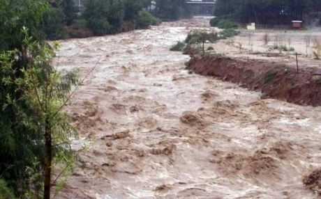 Τέλος καλό, όλα καλά με τους 30 παράτυπους μετανάστες στον Έβρο