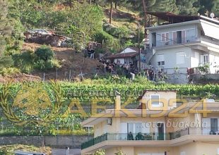 Για ψυχίατρο οι… ΑΕΚτζήδες (ΦΩΤΟ)