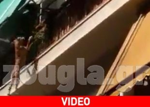 Κτηνωδία στην πλατεία Αμερικής: Πέταξε τον σκύλο από τον 3ο όροφο (vid)