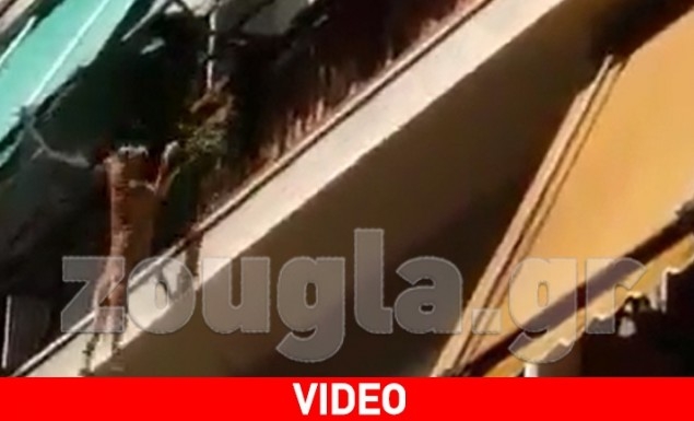 Κτηνωδία στην πλατεία Αμερικής: Πέταξε τον σκύλο από τον 3ο όροφο (vid)