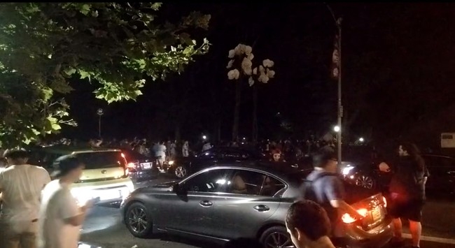 Ανθρώπινο τσουνάμι κυνηγά Pokemon στο Σέντραλ Παρκ (video)