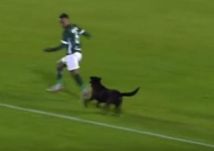 Σκύλος πήρε στο κυνήγι παίκτη στη Βραζιλία! (Video)