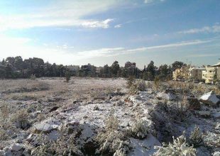 Το μαγικό μας οικόπεδο στα λευκά! (pics)