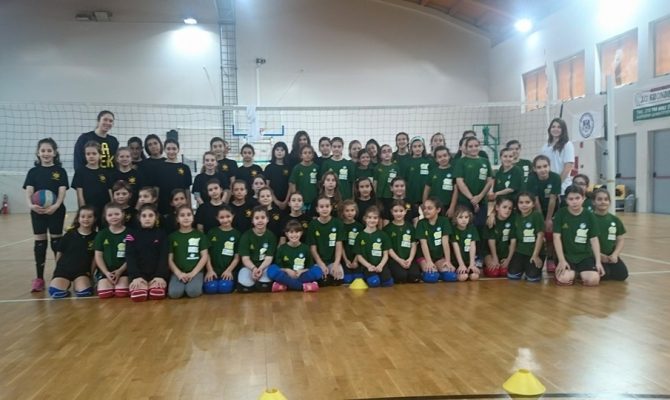 Τα πρόγραμμα των ακαδημιών Βόλεϊ (ΦΩΤΟ)