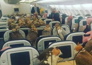 Σαουδάραβας πρίγκιπας έκλεισε πτήση στην ‘πρώτη θέση’ για τα 80 γεράκια του