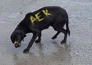 «Πράξεις κανιβαλισμού, δεν συνάδουν με το ήθος της ομάδας μας…»