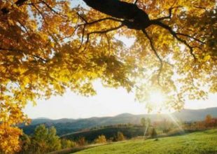 Ο καιρός σήμερα (01/04)