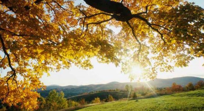 Ο καιρός σήμερα (01/04)