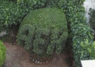 ΑΕΚ εδώ, ΑΕΚ εκεί, ΑΕΚ και στην κηπουρική (ΦΩΤΟ)