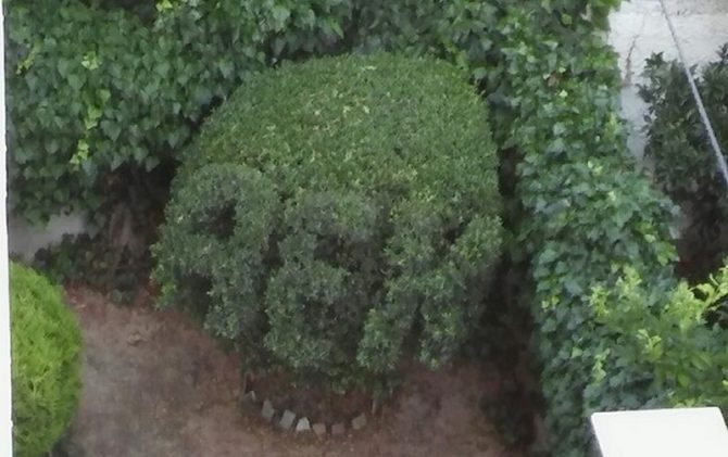 ΑΕΚ εδώ, ΑΕΚ εκεί, ΑΕΚ και στην κηπουρική (ΦΩΤΟ) ΑΕΚ εδώ, ΑΕΚ εκεί, ΑΕΚ και στην κηπουρική (ΦΩΤΟ)