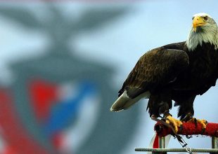 Μόνιμος αετός της ΑΕΚ στην Αγιά Σοφιά! (VIDEO)