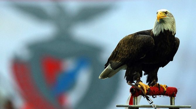 Μόνιμος αετός της ΑΕΚ στην Αγιά Σοφιά! (VIDEO)