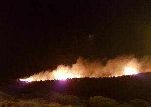 Πυρκαγιά στα Καλύβια: Κλειστή η παραλιακή στο ύψος της Σαρωνίδας