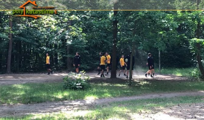 Μπάσκετ, ασκήσεις και τρέξιμο στο δάσος (vids)