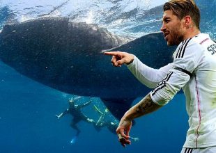 Ο Ράμος κολυμπάει δίπλα σε φαλαινοκαρχαρία 20 τόνων!