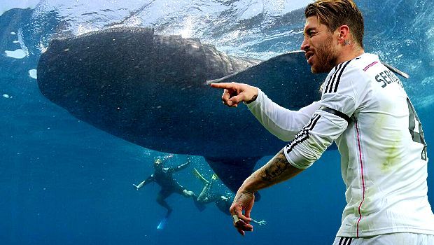 Ο Ράμος κολυμπάει δίπλα σε φαλαινοκαρχαρία 20 τόνων! Ο Ράμος κολυμπάει δίπλα σε φαλαινοκαρχαρία 20 τόνων!