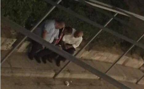 Όλο κλαίγαν τα γαυράκια στου ΟΑΚΑ τα σκαλάκια (ΦΩΤΟ)