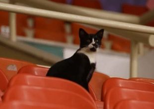 Η Ρωσία ξεσκέπασε τον “κατάσκοπο” της Ελλάδας