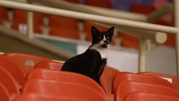 Η Ρωσία ξεσκέπασε τον “κατάσκοπο” της Ελλάδας