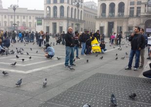 Τα βλέπω όλα κιτρινόμαυρα (pics)