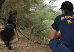 Νεκρός εντοπίστηκε ο αγνοούμενος φοιτητής στην Κάλυμνο