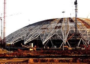 Καταγγελίες για θανάτωση αδέσποτων ζώων ενόψει Μουντιάλ 2018