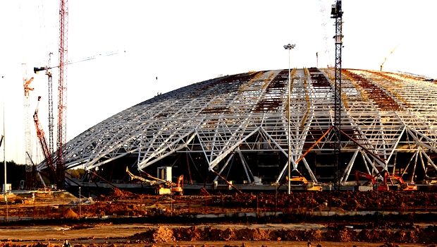 Καταγγελίες για θανάτωση αδέσποτων ζώων ενόψει Μουντιάλ 2018