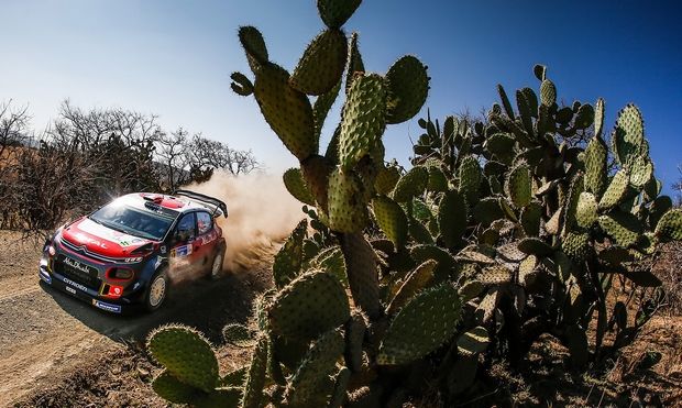 Αρχηγού Λεμπ παρόντος! Αρχηγού Λεμπ παρόντος!