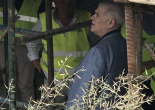 Επιθεώρηση Τίγρη στη Νέα Φιλαδέλφεια (PICS)