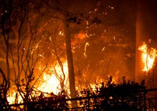 Επίσημο: Στους 49 οι επιβεβαιωμένοι νεκροί