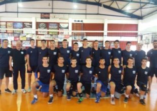 «Κιτρινίζει» η Εθνική στο Βαλκανικό