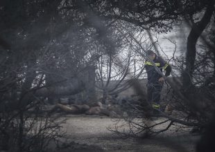 ΤΡΑΓΩΔΙΑ: 81 οι νεκροί, 100 οι αγνοούμενοι (pics)