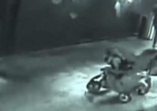 Εκλεψαν καρχαρία από ενυδρείο, τον έντυσαν «μωρό» και τον έβγαλαν έξω με καροτσάκι! (vid)